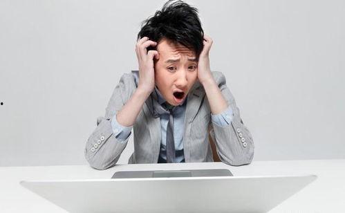 娱乐圈吃瓜爆料免费进,免费吃瓜爆料，带你领略幕后风云