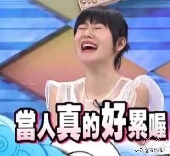 娱乐圈吃瓜文心声